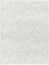 Moderner Hochfloriger Shaggy Teppich Weiß/Grau 200x275