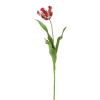 Tige de tulipe perroquet artificielle rouge et verte H63