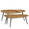 Lot de 2 tables d'appoint en bois recyclé noir H39