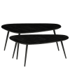 Lot de 2 tables d'appoint en bois recyclé noir H39