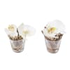 Set de 2 orchidées en illusion d'eau artificielles blanches D10
