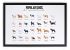 Tableau avec cadre noir 40x30 Chiens