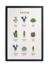 Tableau avec cadre noir 40x30 Cactus