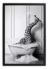 Tableau avec cadre noir 40x30 Bain de Girafe