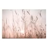 Leinwandbild bedruckt - Ein traumhafter Sommerabend, beige 90 x 60 cm