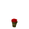 RCZ Décor 50 Rose Artificiali In Schiuma Con Steli E Foglie - Blush - Fiori Finti Per Decorazioni Fai Da Te - 2