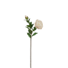 Tallo de camelia artificial crema con centro rosa h52