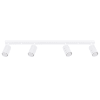 Lampada Piastra Rettangolare Soffitto 2 Spot GU10 Orientabili Leon Nero Trio Lighting 86392734