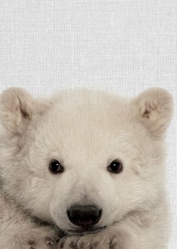 ANIMAL FUN - Tableau métal ours blanc 32x45
