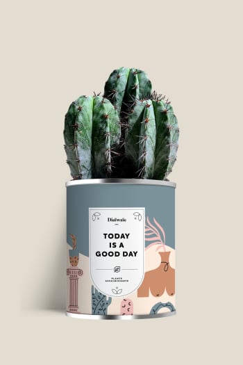 TODAY IS A GOOD DAY - Cactus ou plante pot grand modèle today is a good day
