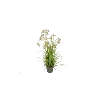 ALLIUM - Allium de Naples artificiel fleurs beige pot zinc h78cm