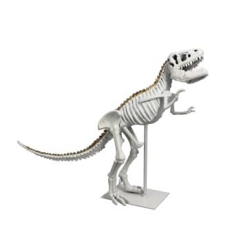 Tyrex - Dinosaure en résine blanche