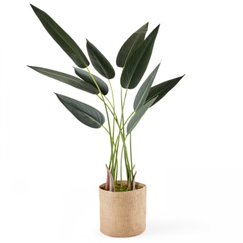 Pianta Artificiale Palma Del Viaggiatore HOMCOM - Alta 150 Cm, Vaso Incluso, Per Interni Ed Esterni, Realistica E Facile Da Pulire