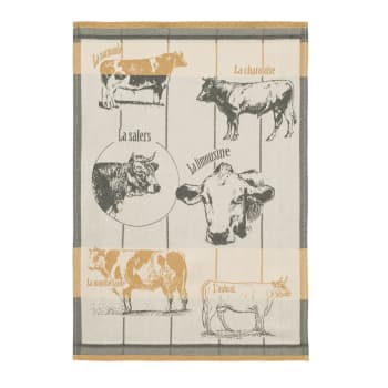 Races bovines - Lot de 2 torchons imprimés en coton orange 50x75
