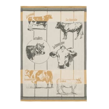 Races bovines - Torchon en coton orange 50x75