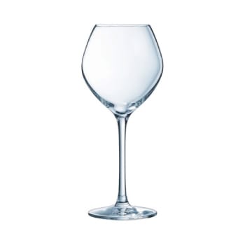 WINE EMOTIONS - Verre à vin blanc 35cl - Lot de 6