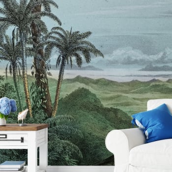 Papier peint panoramique jungle foret Amazonienne 255x260cm