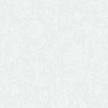 Mille charmes blanc - Serviette  pur coton blanc 55x55