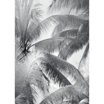 Herbi - Poster en papier noir et blanc 50x70 cm