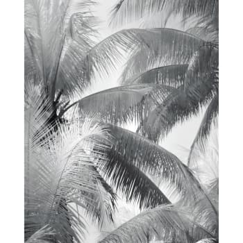 Herbi - Poster en papier noir et blanc 40x50 cm