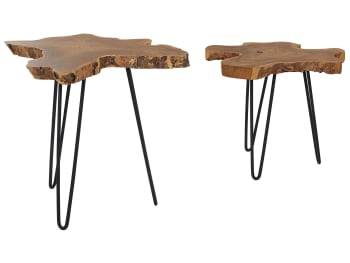 Camrose - Lot de 2 tables basses en bois