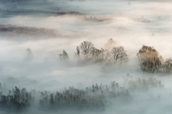 Tableau brouillard hivernal imprimé sur alu 120x80cm