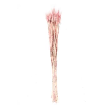 BLÉ - Gavillas de rosa bebe seca - 70 cm