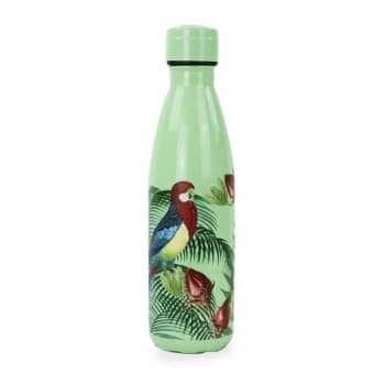 Bouteille  isotherme " parrot" 500 ml