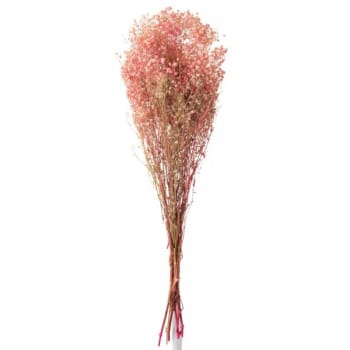 GYPSOPHILE - Bouquet gypsophile séché rose H84cm