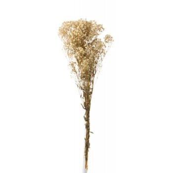 GYPSOPHILE - Bouquet gypsophile séché écru H84cm