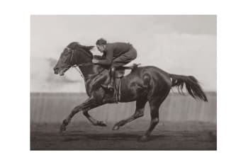 EQUITATION - Photo ancienne noir et blanc cheval n°40 cadre noir 30x45cm