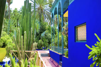 Tableau jardin majorelle toile imprimée 120x80 cm