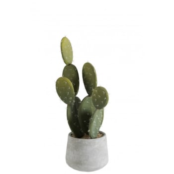 CIMENT - Cactus vert et pot ciment H50cm