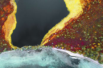 UN AUTRE MONDE - Photographie d'art d'Hugo Grandcolas 30x45 cm sur alu