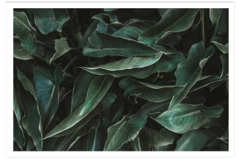 Affiche green leaves sans cadre 30x20cm