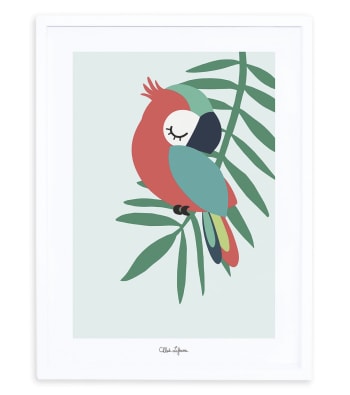 TROPICA - Affiche perroquet 30 x 40 cm