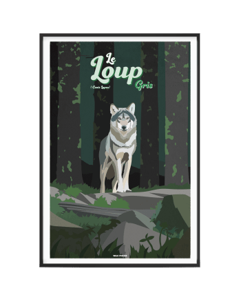 ANIMAUX - Affiche Animaux - Le Loup gris 40 x 60 cm