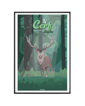 ANIMAUX - Affiche Animaux - Le Cerf élaphe 40 x 60 cm