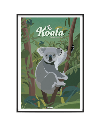 ANIMAUX - Affiche Animaux - Le Koala 40 x 60 cm