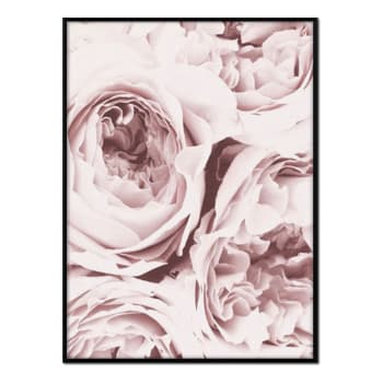 Flores - Affiche avec cadre noir - Roses - 30x40