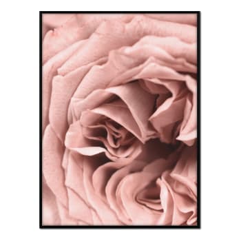 Flores - Affiche avec cadre noir - Détail rose - 30x40