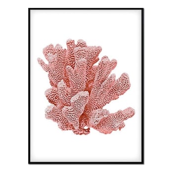 Coral - Póster con marco negro - coral - 50x70