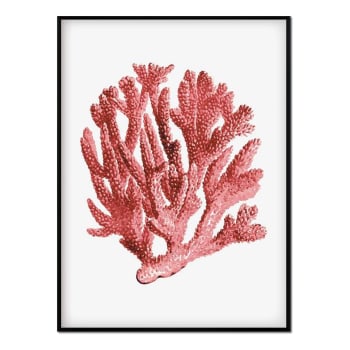 Coral - Affiche avec cadre noir - Corail - 30x40