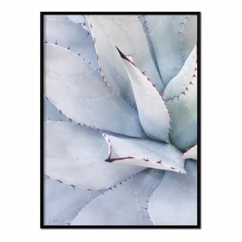 Suculentas - Affiche avec cadre noir - Aloe Vera bleu - 30x40
