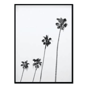 Bw - Affiche avec cadre noir - Quatre palmiers - 30x40