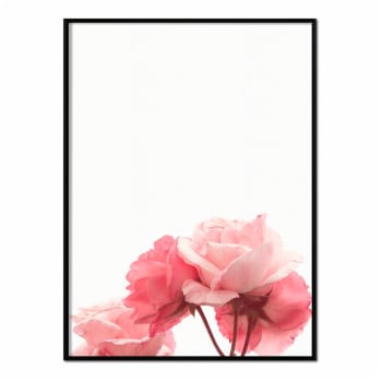Flores - Affiche avec cadre noir - Roses - 50x70