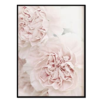 Flores - Affiche avec cadre noir - Roses Blanches - 30x40