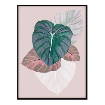 Plantas - Affiche avec cadre noir - Feuilles trois couleurs - 30x40