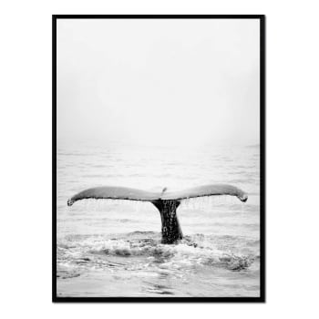 Marinos - Affiche avec cadre noir - Baleine noire et blanche - 50x70