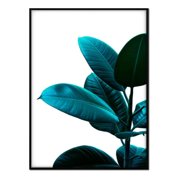 Plantas - Affiche avec cadre noir - Fijus couleur saturée - 30x40